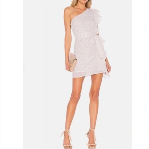 “LOVERS + FRIENDS” X Revolve Whitney Rose Dress - Picture 3 of 16